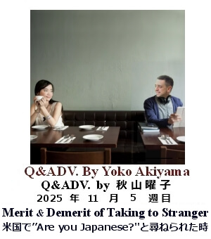 Q&Adv, Yoko Akiyama, 秋山曜子, 