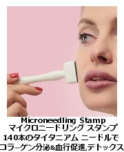 ダーマ・スタンプ