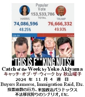 キャッチ・オブ・ザ・ウィーク, ニューヨーク, NY時事トレンド情報, Yoko Akiyama, 秋山曜子,