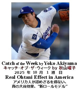 キャッチ・オブ・ザ・ウィーク Yoko Akiyama
